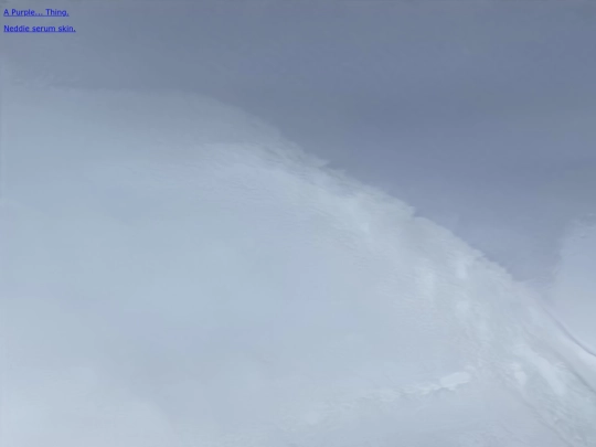 projects screenshot