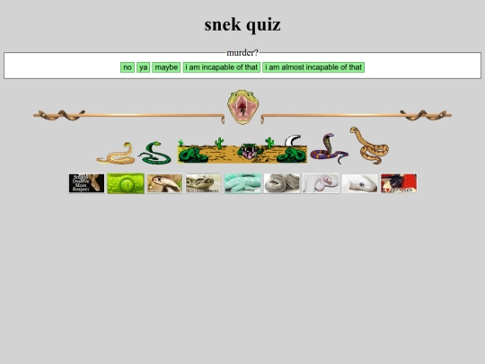 misc/quiz screenshot