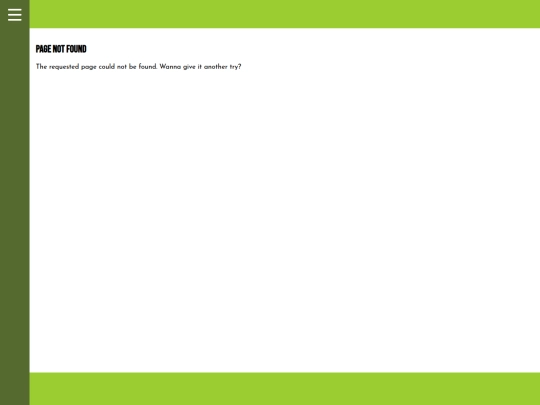 projects screenshot