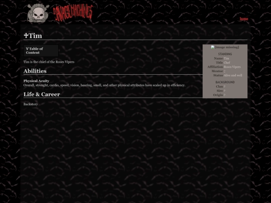 allies/tim screenshot