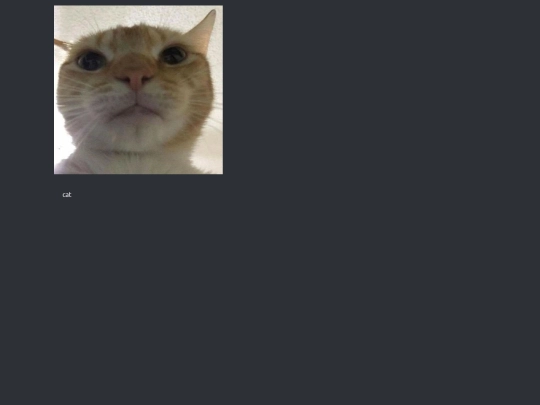 funnies/cat screenshot