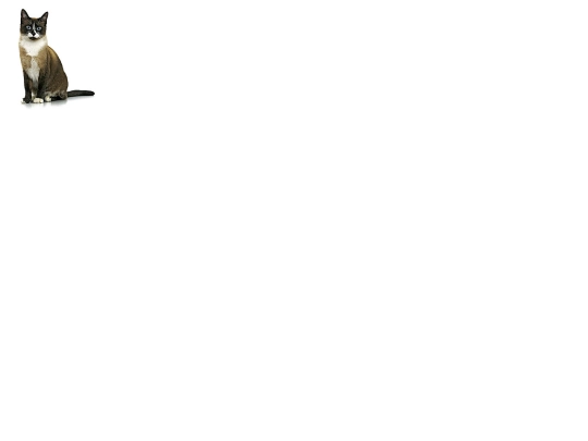 image_test screenshot