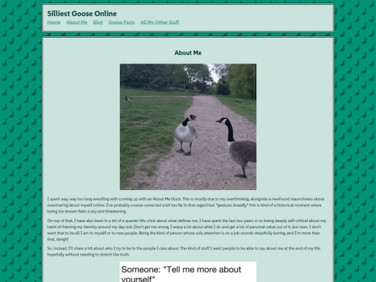 pages/aboutme screenshot