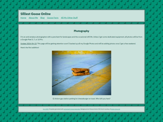 pages/photography screenshot