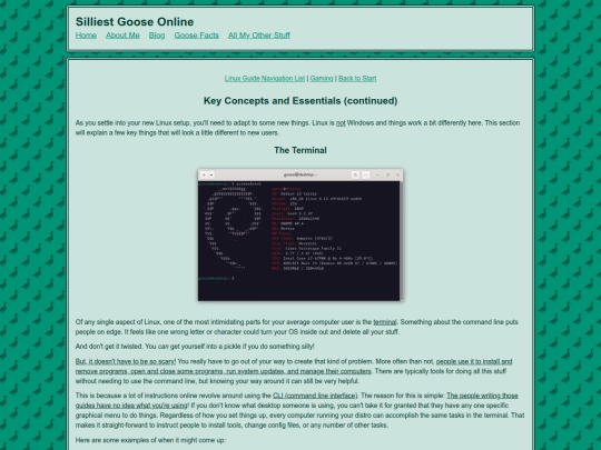 pages/resources/linux/laymanguide7 screenshot