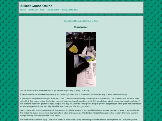pages/resources/linux/laymanguideconclusion screenshot