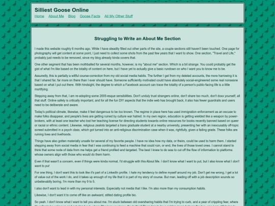 pages/writing/aboutmestruggles screenshot