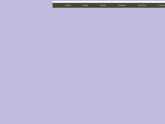 Volunteer screenshot