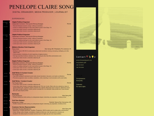 resume/resume_with_doc_13_ascitt_art screenshot