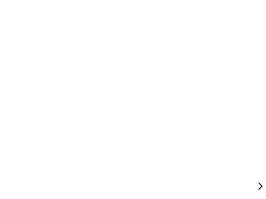 css/test screenshot