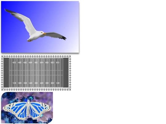 ImitationFolder/Imitation screenshot