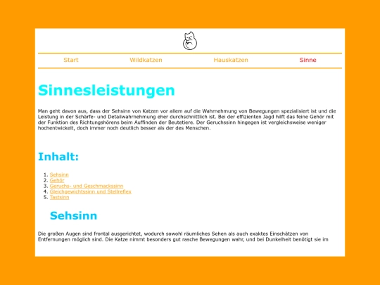sinne screenshot