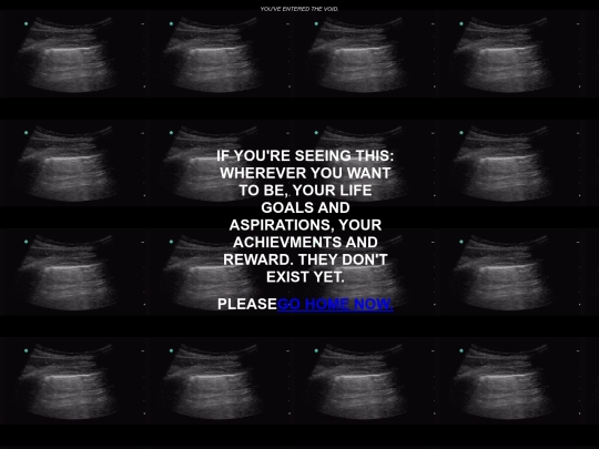 void screenshot