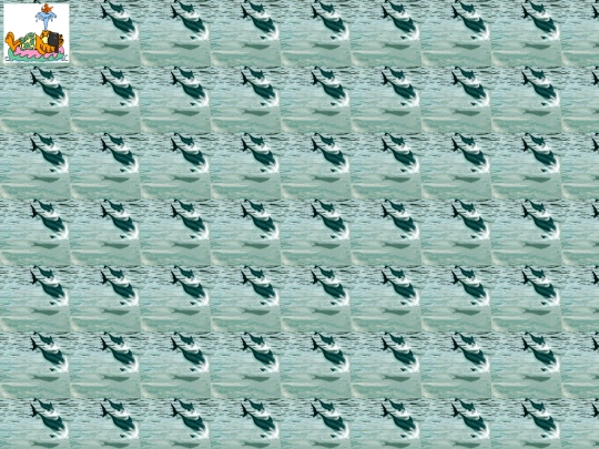 pool2 screenshot