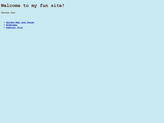 funsite screenshot