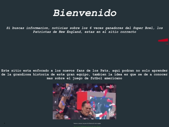 Paginaprincipal screenshot