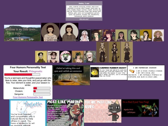 more screenshot