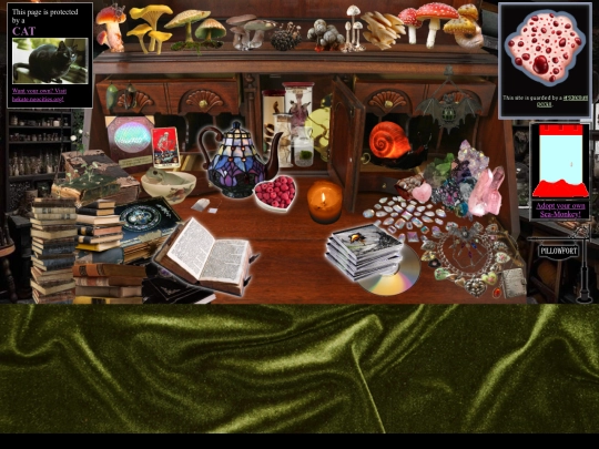 study screenshot