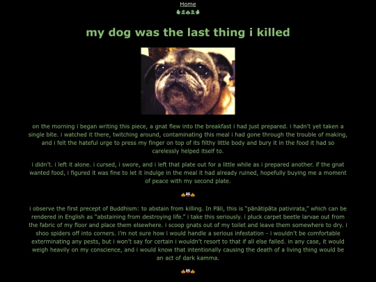 dog screenshot