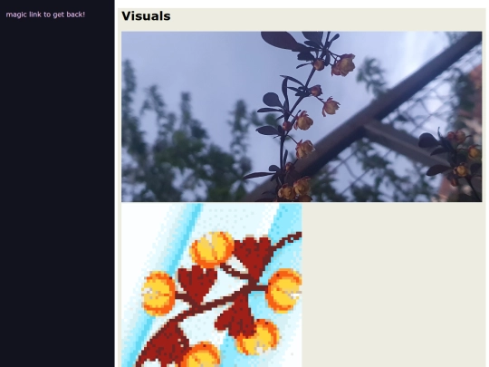 identified-plants-pages/Berberis thunbergii/berberis-thunbergii screenshot
