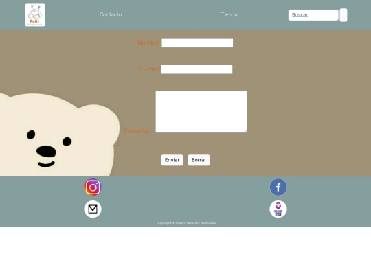 pages/contacto screenshot