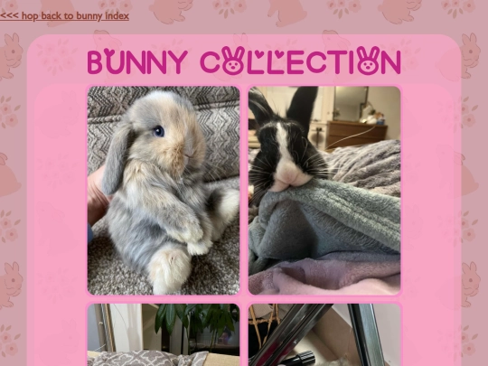 bunny screenshot