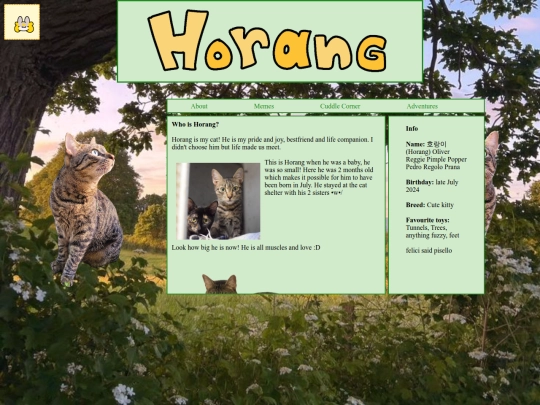 Abouthorang screenshot
