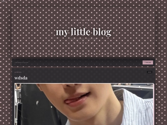 blog screenshot