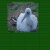 be7hel.neocities.org avatar