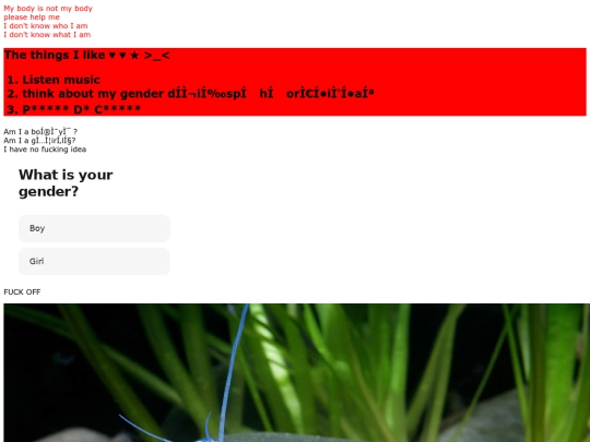 crayfish screenshot