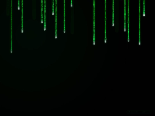 apps/matrix-rain screenshot