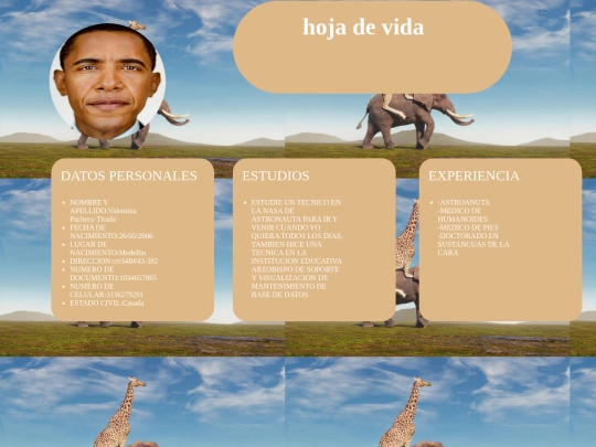 hojadevida screenshot
