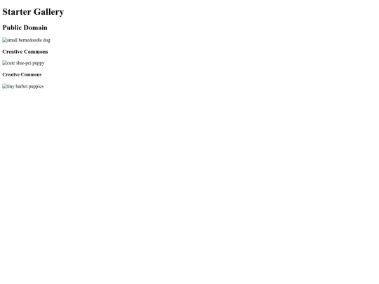 Starter_Gallery/starter gallery screenshot