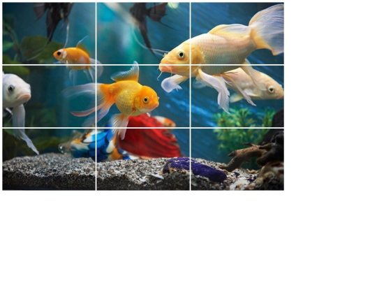 puzzle/puzzle screenshot