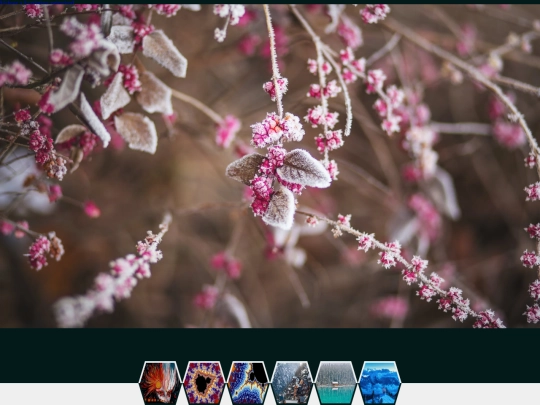 galeria screenshot