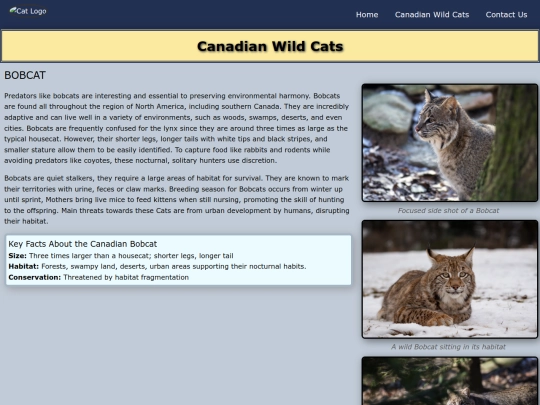 pages/content screenshot