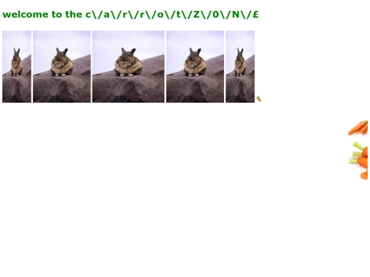 bun screenshot