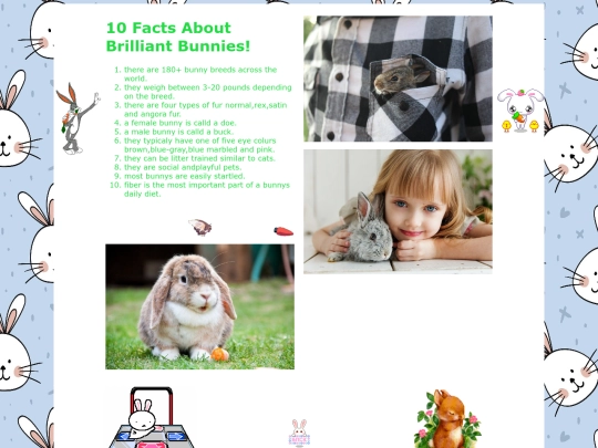 bunnies screenshot