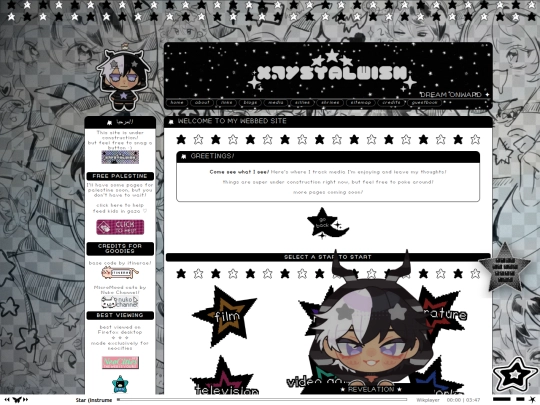 media screenshot