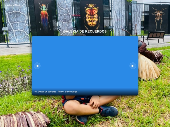 PWAs/proyecto_bebe/Album screenshot