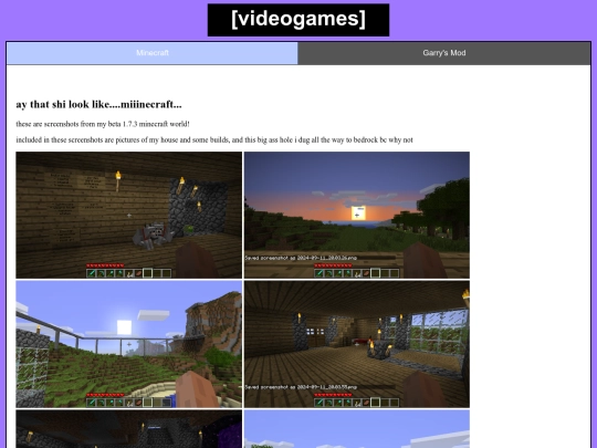 videogames screenshot