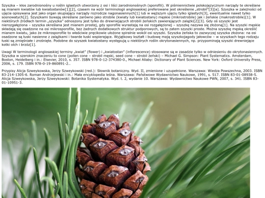 szyszki screenshot