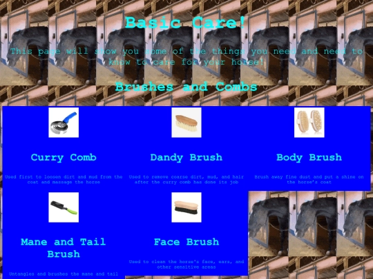 lessons/basiccare screenshot