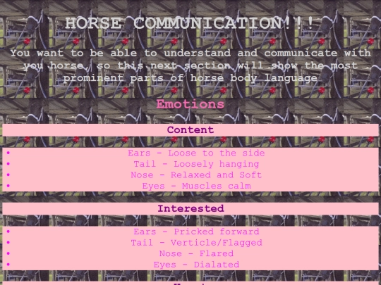 lessons/horsecommunication screenshot