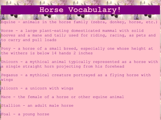 lessons/horsevocab screenshot