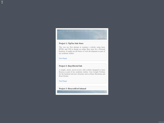 projects screenshot