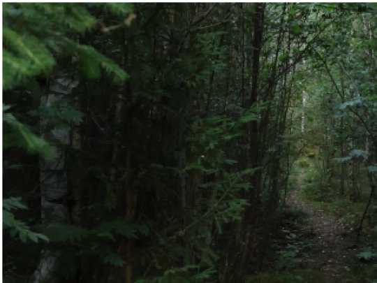 Depth1 screenshot