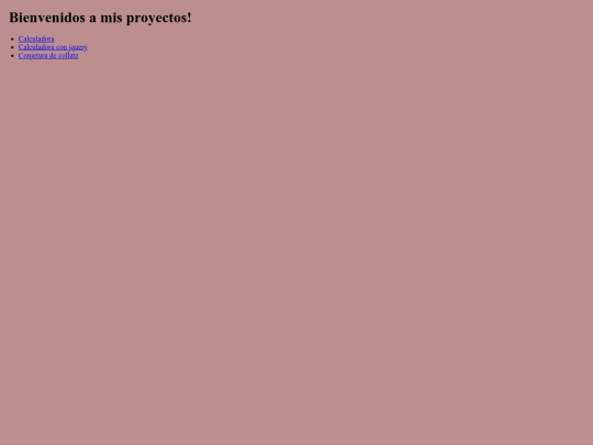 proyectos screenshot