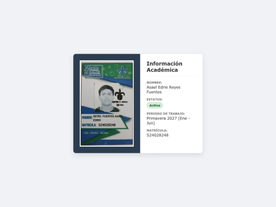 credencial/S24028248 screenshot