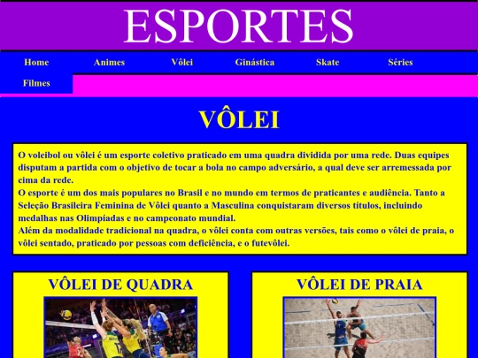 timmerman/pages/volei screenshot